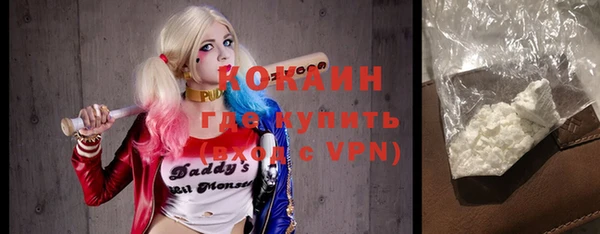 ALPHA PVP Няндома