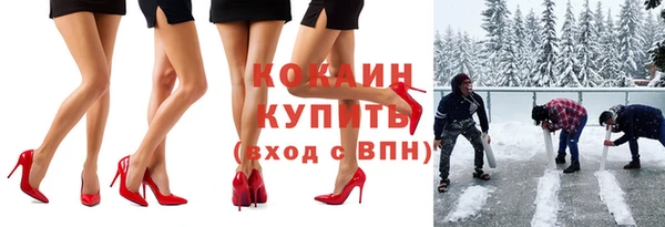 ALPHA PVP Няндома