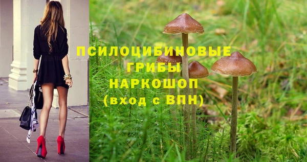 ALPHA PVP Няндома