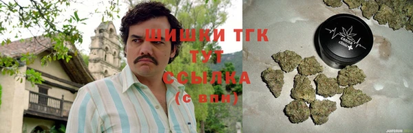 ALPHA PVP Няндома